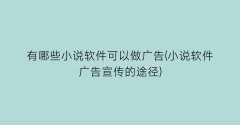 有哪些小说软件可以做广告(小说软件广告宣传的途径)