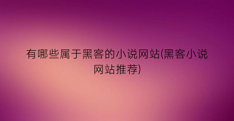 有哪些属于黑客的小说网站(黑客小说网站推荐)