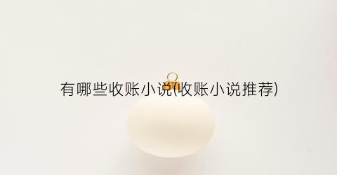 有哪些收账小说(收账小说推荐)