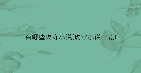 有哪些攻守小说(攻守小说一览)