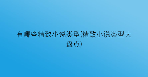 有哪些精致小说类型(精致小说类型大盘点)