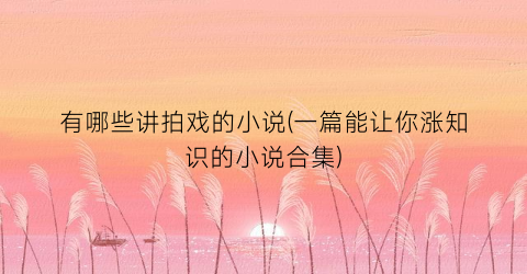 有哪些讲拍戏的小说(一篇能让你涨知识的小说合集)