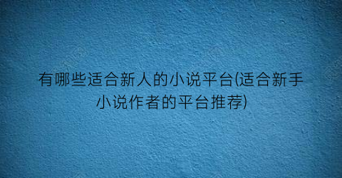 有哪些适合新人的小说平台(适合新手小说作者的平台推荐)
