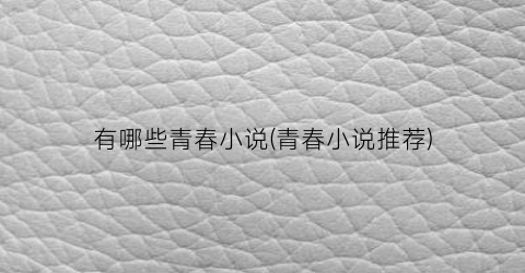有哪些青春小说(青春小说推荐)