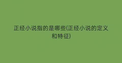 正经小说指的是哪些(正经小说的定义和特征)