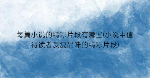 每篇小说的精彩片段有哪些(小说中值得读者反复品味的精彩片段)