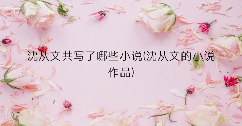 沈从文共写了哪些小说(沈从文的小说作品)
