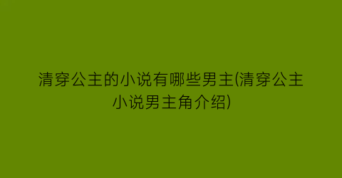 清穿公主的小说有哪些男主(清穿公主小说男主角介绍)