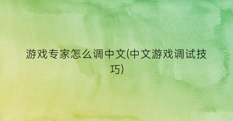 “游戏专家怎么调中文(中文游戏调试技巧)