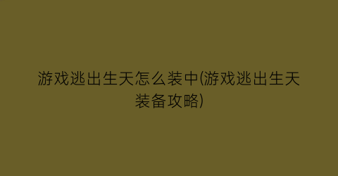 游戏逃出生天怎么装中(游戏逃出生天装备攻略)