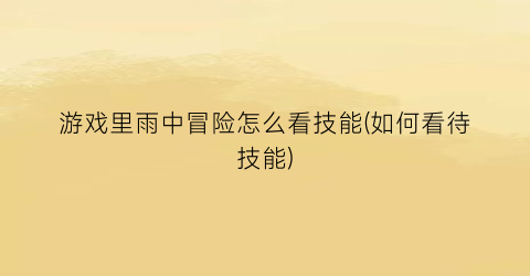 “游戏里雨中冒险怎么看技能(如何看待技能)