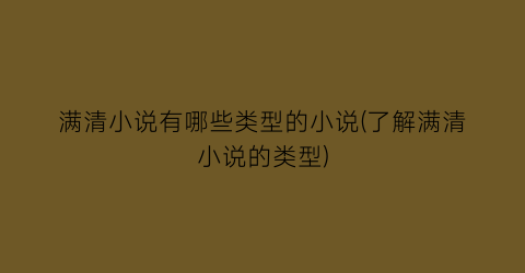 满清小说有哪些类型的小说(了解满清小说的类型)