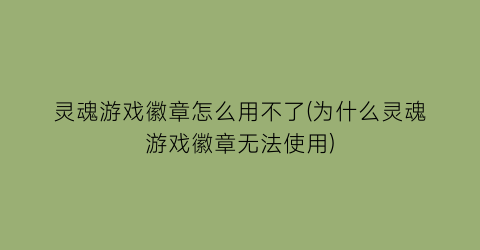 “灵魂游戏徽章怎么用不了(为什么灵魂游戏徽章无法使用)