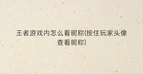 “王者游戏内怎么看昵称(按住玩家头像查看昵称)