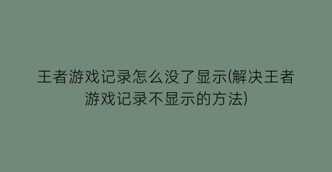 “王者游戏记录怎么没了显示(解决王者游戏记录不显示的方法)