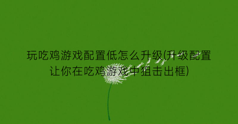 玩吃鸡游戏配置低怎么升级(升级配置让你在吃鸡游戏中狙击出框)