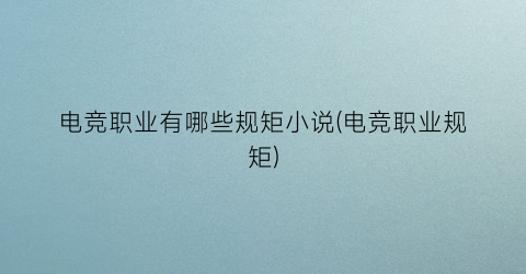 电竞职业有哪些规矩小说(电竞职业规矩)