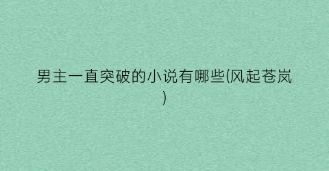 男主一直突破的小说有哪些(风起苍岚)