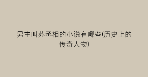 男主叫苏丞相的小说有哪些(历史上的传奇人物)