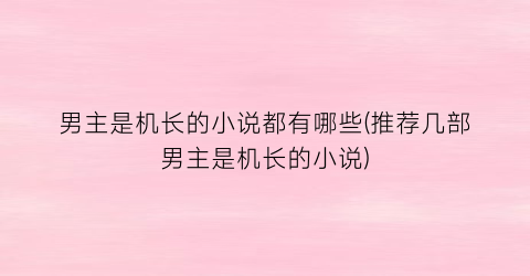 男主是机长的小说都有哪些(推荐几部男主是机长的小说)