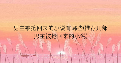 男主被抢回来的小说有哪些(推荐几部男主被抢回来的小说)
