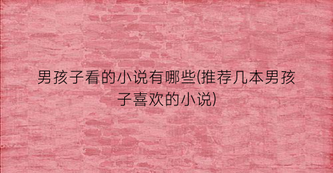 男孩子看的小说有哪些(推荐几本男孩子喜欢的小说)