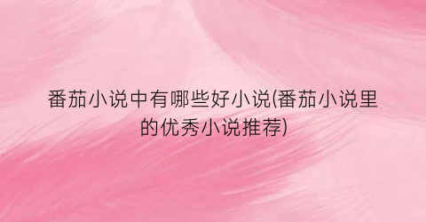 番茄小说中有哪些好小说(番茄小说里的优秀小说推荐)