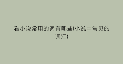 看小说常用的词有哪些(小说中常见的词汇)