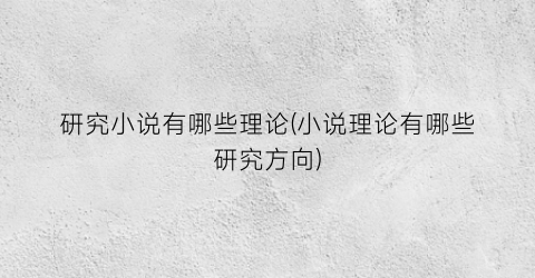 研究小说有哪些理论(小说理论有哪些研究方向)