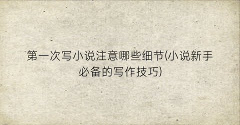 第一次写小说注意哪些细节(小说新手必备的写作技巧)