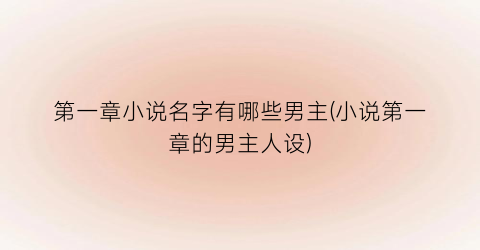 第一章小说名字有哪些男主(小说第一章的男主人设)