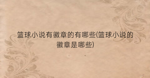 篮球小说有徽章的有哪些(篮球小说的徽章是哪些)