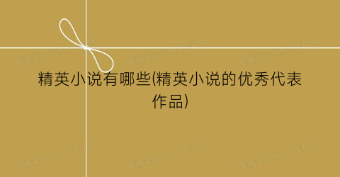 精英小说有哪些(精英小说的优秀代表作品)