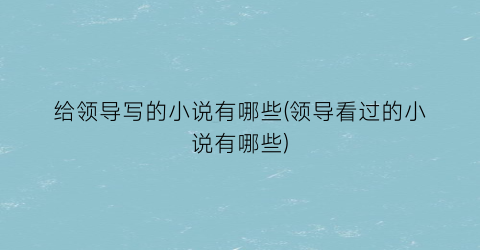 给领导写的小说有哪些(领导看过的小说有哪些)