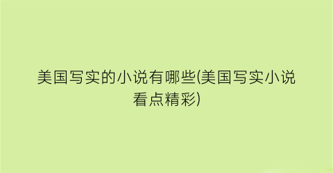 美国写实的小说有哪些(美国写实小说看点精彩)