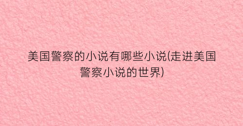 美国警察的小说有哪些小说(走进美国警察小说的世界)