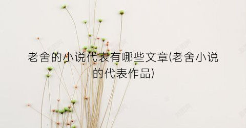 老舍的小说代表有哪些文章(老舍小说的代表作品)