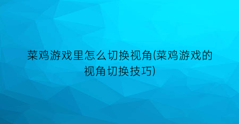 菜鸡游戏里怎么切换视角(菜鸡游戏的视角切换技巧)