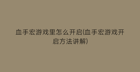 血手宏游戏里怎么开启(血手宏游戏开启方法讲解)