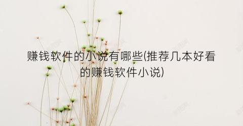 赚钱软件的小说有哪些(推荐几本好看的赚钱软件小说)