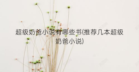 超级奶爸小说有哪些书(推荐几本超级奶爸小说)