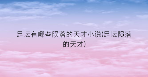 足坛有哪些陨落的天才小说(足坛陨落的天才)