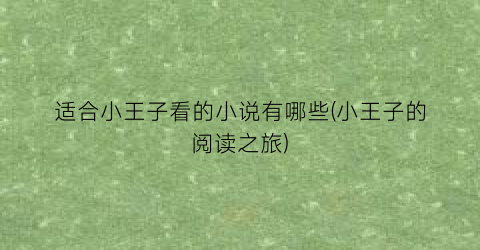 适合小王子看的小说有哪些(小王子的阅读之旅)