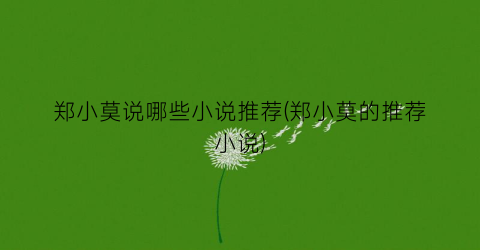 郑小莫说哪些小说推荐(郑小莫的推荐小说)
