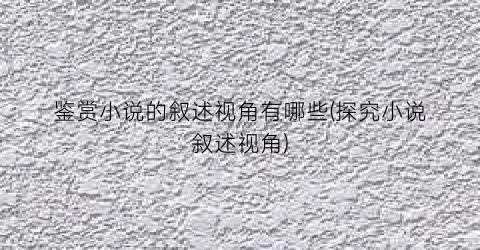 鉴赏小说的叙述视角有哪些(探究小说叙述视角)
