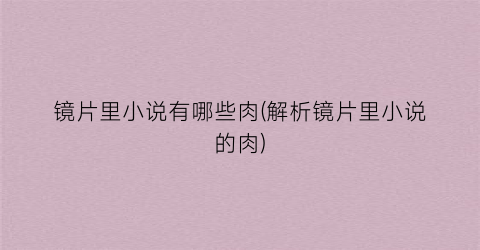 镜片里小说有哪些肉(解析镜片里小说的肉)