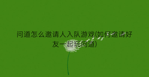 “问道怎么邀请人入队游戏(如何邀请好友一起玩问道)