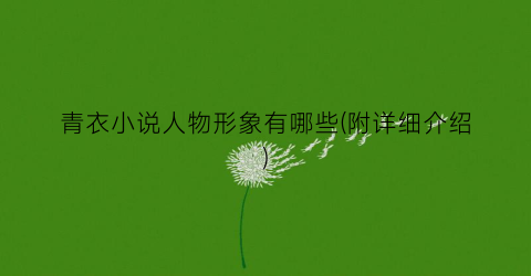 青衣小说人物形象有哪些(附详细介绍)