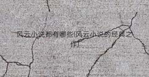风云小说都有哪些(风云小说的经典之作)