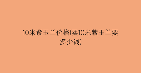 10米紫玉兰价格(买10米紫玉兰要多少钱)